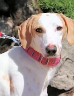 FIONA-Marie - sie berührt die Herzen - Regensburg