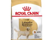 Sparpaket Royal Canin - Labrador Retriever Adult (2 x 12 kg)