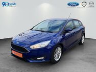 Ford Focus, 1.0 EcoBoost System Business Edition, Jahr 2016 - Rutesheim