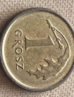 Münze Münzen Umlaufmünze Polen 1 Grosz 2016 - Alzey