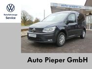 VW Caddy Trendline 7Sitze ACC Xenon Schiebefenster - Drensteinfurt