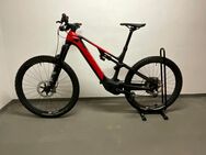 Mountain E-Bike RX 750 Pro Gr. L gebraucht - Korbach (Hansestadt)