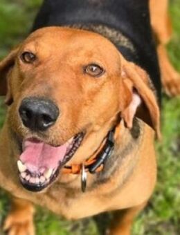 Wundervolle FIONA - Gefrees