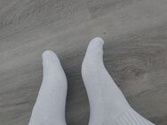 Getragene Socken - Straubing