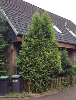 Hier fühlen Sie sich wohl: weitläufige 3-Zimmer-Wohnung - Elmshorn