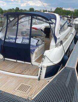 Motorjacht Motorboot Boot - Werder (Havel) Zentrum