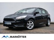 Ford Focus, 1.6 Ambiente neu Inspektion neu, Jahr 2015 - Bielefeld