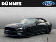 Ford Mustang, 5.0 Convertible V8 GT Tieferlegung Spurverbreiterung, Jahr 2023 - Regensburg