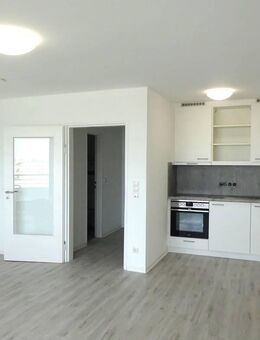 Komfortables 1-Zimmer-Apartment mit voll ausgestatteter Kochnische in zentraler Lage Ludwigshafens - Ludwigshafen (Rhein)