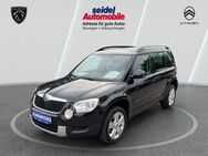 Skoda Yeti, 2.0 TDI Automatik Elegance Plus Edition, Jahr 2013 - Wunstorf