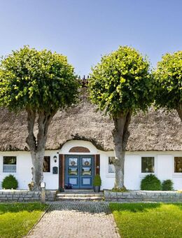 Schleinähe: Gepflegtes Reetdachhaus | Garten | Pavillon | Terrassen | Obstgarten | Nebengebäude - Nottfeld