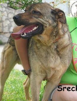 Srecko Energiebündel mit Herz ... - Kissing