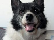 freundlicher Senior sucht ... - Bochum