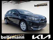 Kia cee'd, 1.0 T-GDI Ceed 100 Vision ||Komfort MY25, Jahr 2024 - Speyer