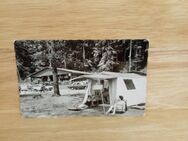 Ansichtskarte-AK-515-Campingplatz Laacher-See-Maria Laach über Andernach/Rhein. - Nörvenich