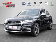 Audi SQ5, 3.0 TFSI quattro, Jahr 2018 - Brandenburg (Havel)