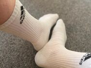 Getragene Adidas Socken - Braunschweig