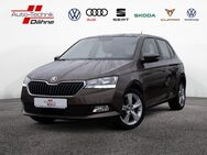 Skoda Fabia, 1.0 MPI Cool Plus, Jahr 2019 - Wittenberge