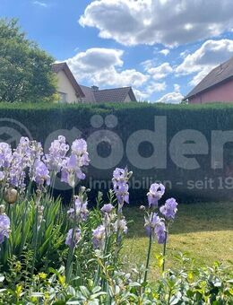 Der Garten - das schönste Freiluftkino! - Großostheim