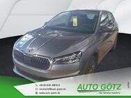 Skoda Fabia, Style LichtAssist Induktiv Laden Ladeboden vo hi VZE SpurAssist 4xEFH Armlehne Connect Metallic, Jahr 2024 - Beilngries