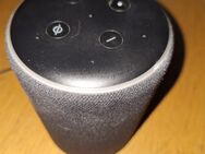 Verkaufe Alexa - Köln