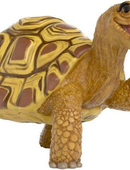 Schleich® Spielfigur Die Schule der magischen Tiere, Henrietta die Schildkröte (14910)