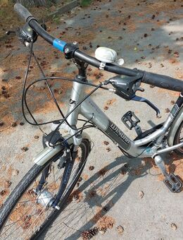 Damenfahrrad 26" - Neustadt (Sachsen) Hohwald