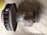 VW Käfer Licht Maschine 6 Volt - Büdingen