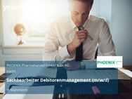 Sachbearbeiter Debitorenmanagement (m/w/d) - Mannheim