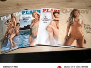7x Playboy Collectors-Edition 1 - 6 /2024 + Sh 2024 - Braunschweig
