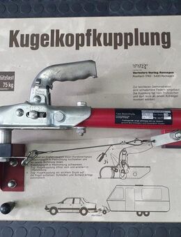 Fahrschulmodell Kugelkopf - Arnsberg