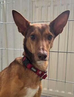 Molar - Neubrunn (Bayern)