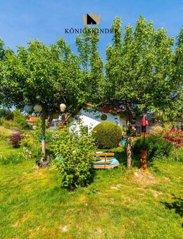 Darfs auch etwas GRÖSSER sein... - Lobbach