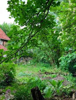 Sanierungsbedürftiges Fachwerkhaus in historischer Altstadt - Schladen-Werla