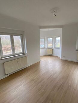 Sonnige, große 3-Raum-Wohnung in Plauen zu vermieten - Plauen