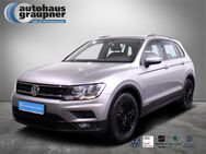 VW Tiguan, 1.5 TSI Trendline, Jahr 2019 - Brandis