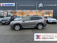 Subaru Forester, Active, Jahr 2021 - Wetzlar