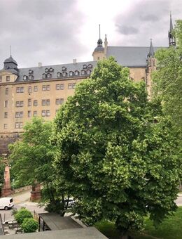 Dachgeschosswohnung - mehr als nur eine Wohnung, eine neue Perspektive. - Altenburg