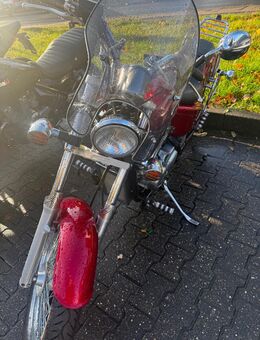 Honda schädow - Neuss