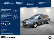 Skoda Octavia, 1.0 TSI Combi Ambition, Jahr 2019 - Mosbach