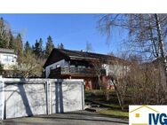 Sonniges Einfamilienhaus in Hanglage mit Bergblick, Einliegerwohnung, großem Grundstück in Leutkirch - Leutkirch (Allgäu)