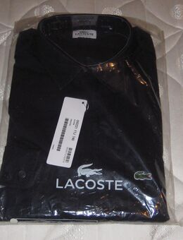 N E U…....1 Original Lacoste Herren-Casual-Hemd - Stolberg (Rheinland, Kupferstadt) Zentrum