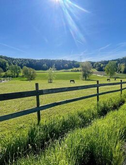 Pferdeparadies im Grünen - Idyllisches Anwesen nahe Regensburg. - Wald (Regierungsbezirk Oberpfalz)
