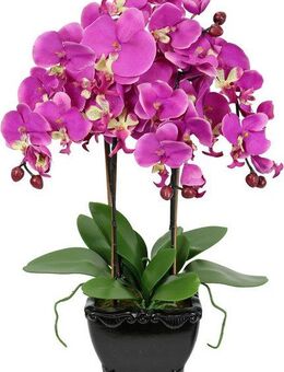 Kunstblume Künstliche Orchidee in Schale Phalaenopsis Kunstblume Blume, I.GE.A., Höhe 60 cm, Kunstorchidee Deko Dekoblume Seidenblume
