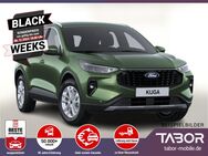 Ford Kuga, 1.5 EB 186 NEW MODEL Tit, Jahr 2024 - Kehl