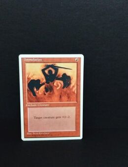 Magic The Gathering-Immolation - Nörvenich