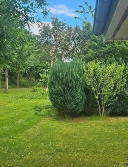 Zeitloses solides Einfamilienhaus in einem herrlich ruhigen Wohnumfeld und sonnigem Garten in Schwarzenbek - Schwarzenbek