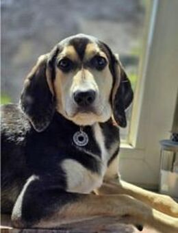 Kuschelbub Emanuele sucht seine Familie - Winterberg