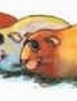 * Meerschweinchen suchen PATEN! - Nidda