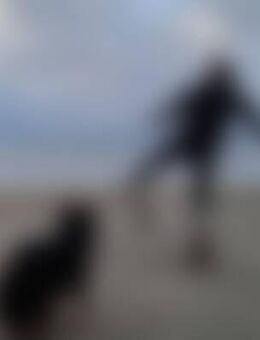 Den*** - Wallenhorst